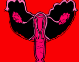 Dibujo Vagina pintado por Larirocke 