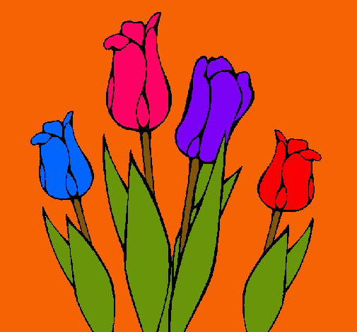 Tulipanes