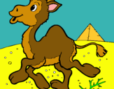 Dibujo Camello pintado por colivenc