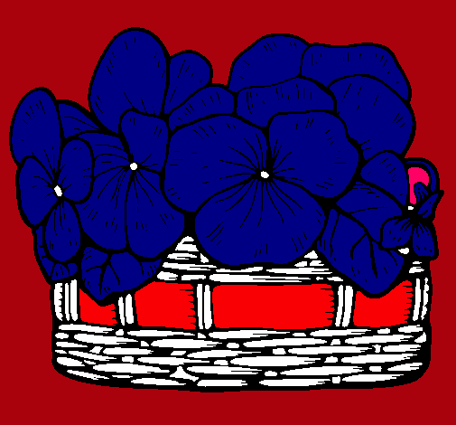 Cesta de flores 12