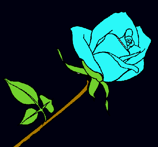 Rosa