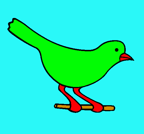 Dibujo Pájaro 4 pintado por elias