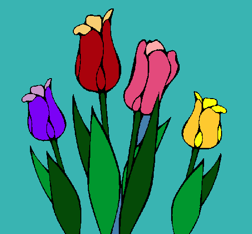 Tulipanes