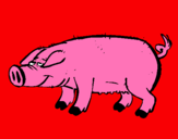 Dibujo Cerdo con pezuñas negras pintado por puerco