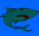 Dibujo Tiburón pintado por fabregas