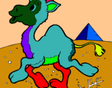 Dibujo Camello pintado por XXXXX