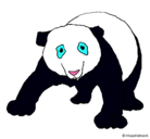 Dibujo Oso panda pintado por koketa