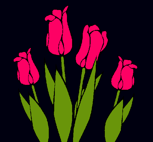 Tulipanes