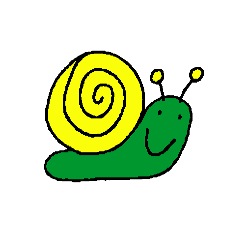 Caracol 4