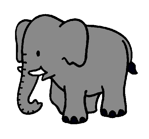 Elefante bebe