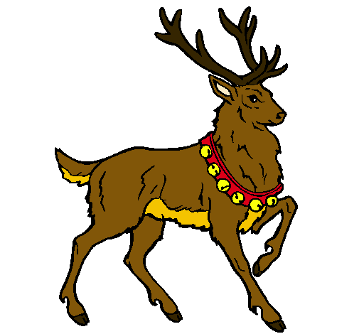 Venado