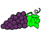 Dibujo racimo pintado por uvas