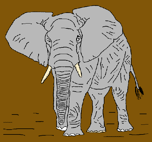 Dibujo Elefante pintado por APPRIL
