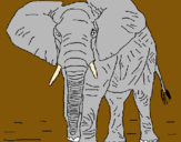 Dibujo Elefante pintado por APPRIL