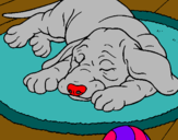 Dibujo Perro durmiendo pintado por jasana5533