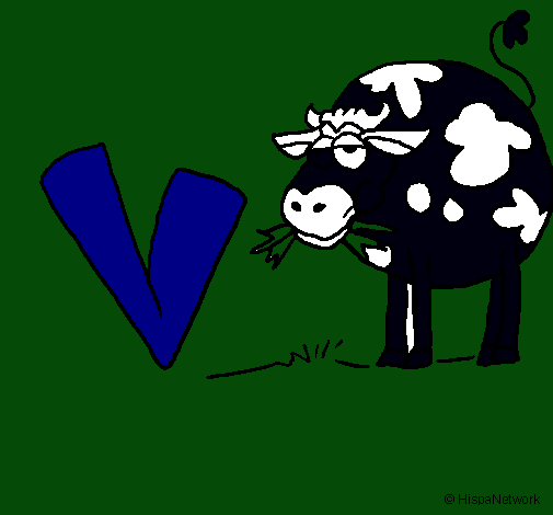 Vaca