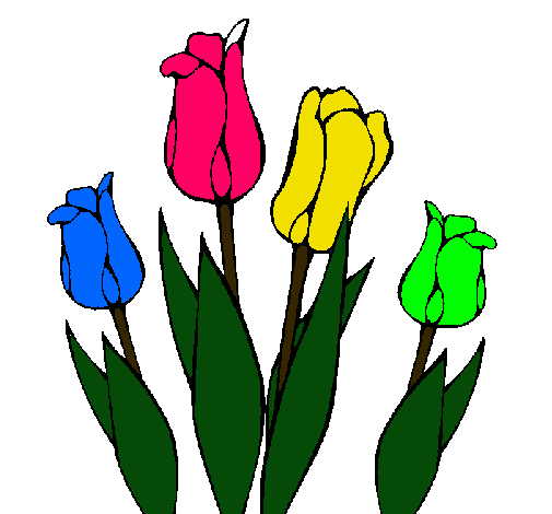 Tulipanes