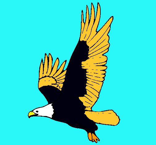 Águila volando