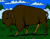 Dibujo Búfalo  pintado por dahiannnnnnn