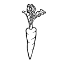 Dibujo zanahoria pintado por vanipe