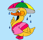 Dibujo Pato bajo la lluvia pintado por diced