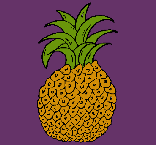 piña