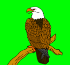 Dibujo Águila en una rama pintado por dfrefegftrfg