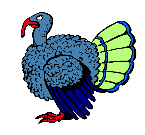 Pavo 