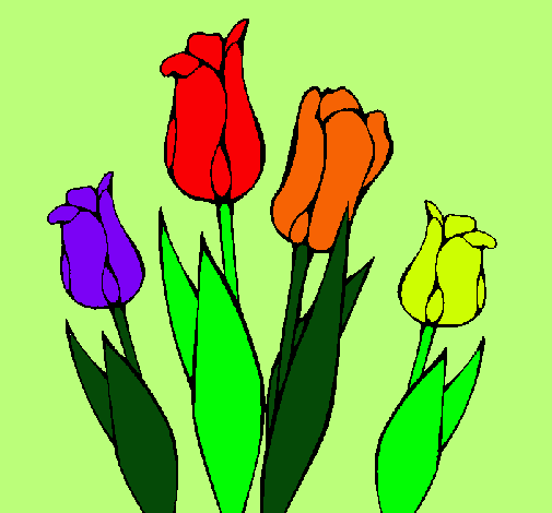 Tulipanes