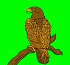 Dibujo Águila en una rama pintado por carelvys