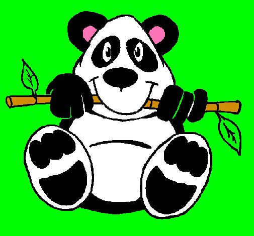 Oso panda