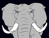 Dibujo Elefante africano pintado por trar