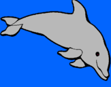 Dibujo Delfín contento pintado por HASHI
