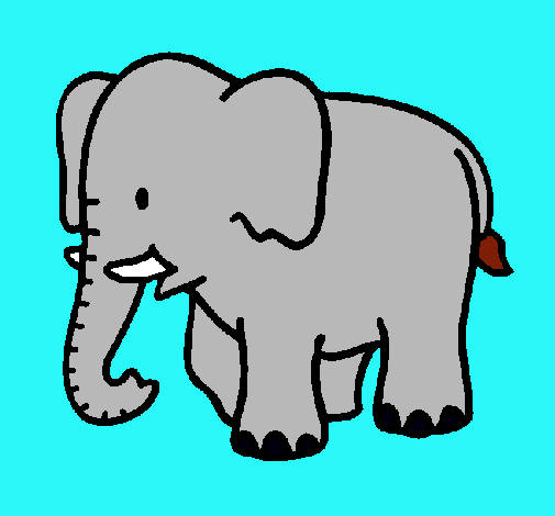 Elefante bebe