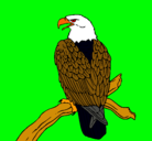 Dibujo Águila en una rama pintado por dannys