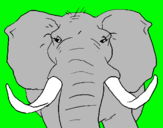 Dibujo Elefante africano pintado por hfdrtfutyrug