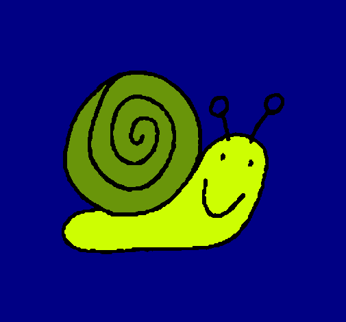 Caracol 4