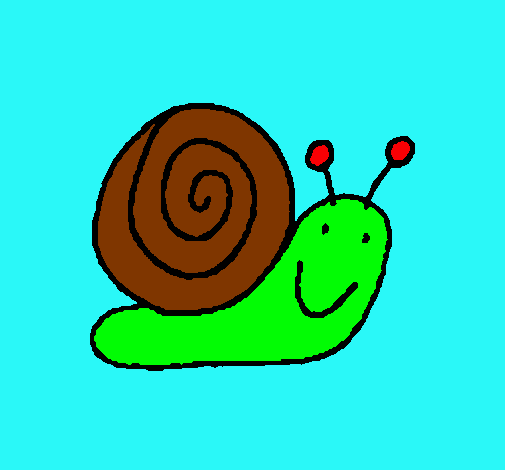 Caracol 4