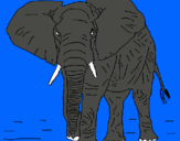 Dibujo Elefante pintado por elefante