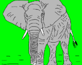 Dibujo Elefante pintado por AMILKAR
