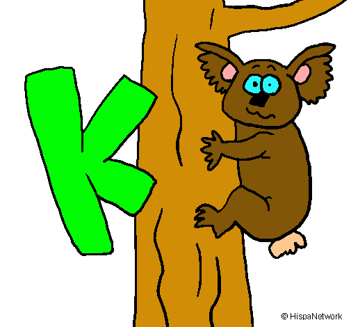 Koala