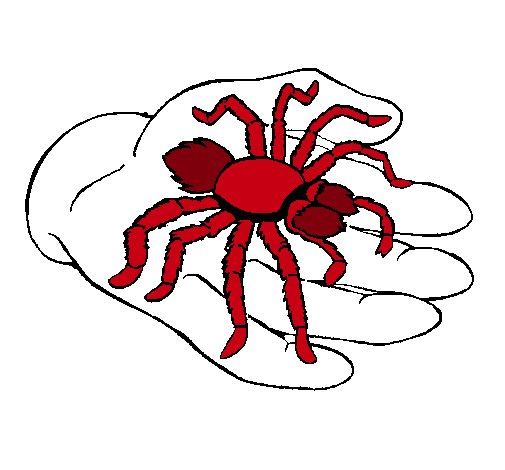 Tarántula