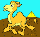 Dibujo Camello pintado por marlu