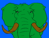 Dibujo Elefante africano pintado por freeey