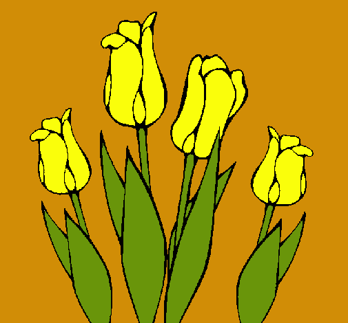 Tulipanes