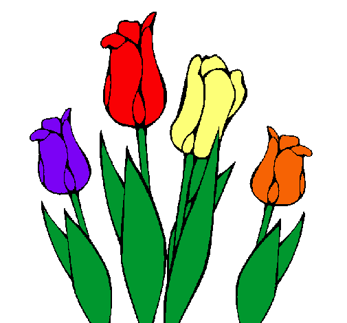 Tulipanes