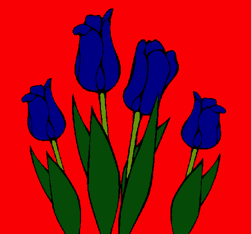 Tulipanes