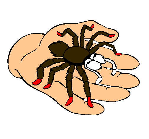 Tarántula