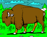 Dibujo Búfalo  pintado por cacacacacaca