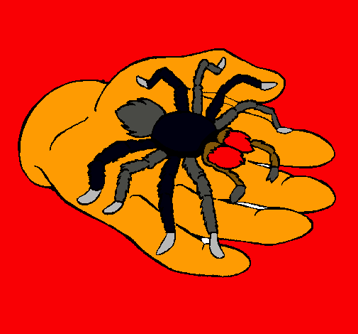 Tarántula